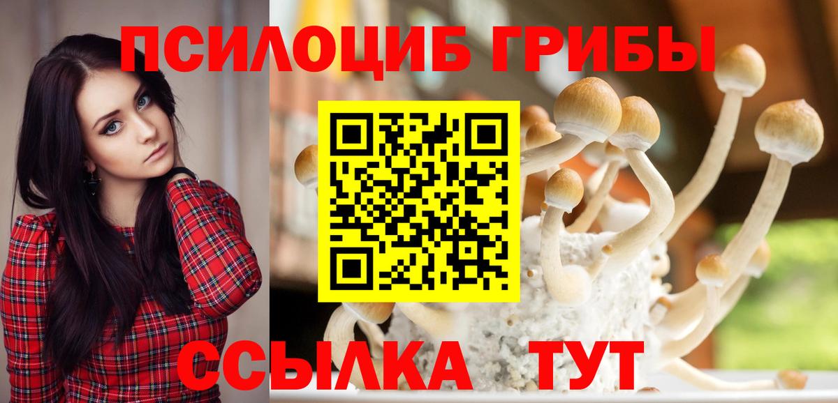 Галлюциногенные грибы GOLDEN TEACHER Берёзовский